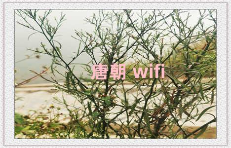 唐朝 wifi